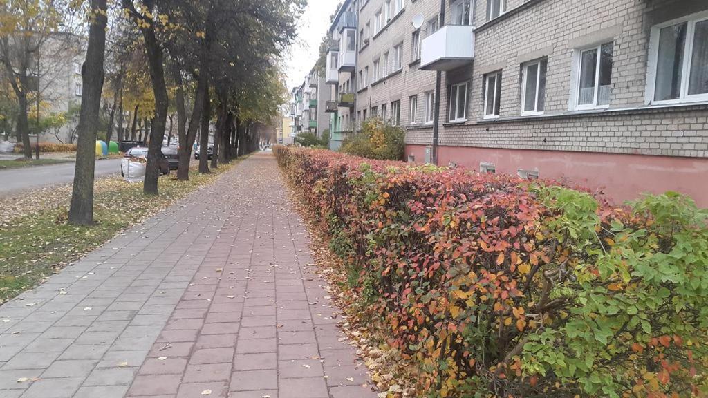 Apartment For You Szawle Zewnętrze zdjęcie